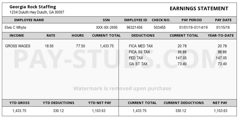 stub paystub stubs georgia