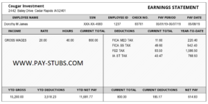 Lowa Paystub Generator