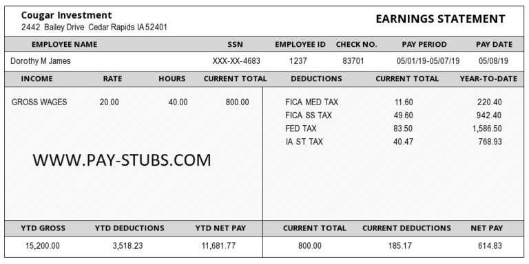 Lowa Paystub Generator