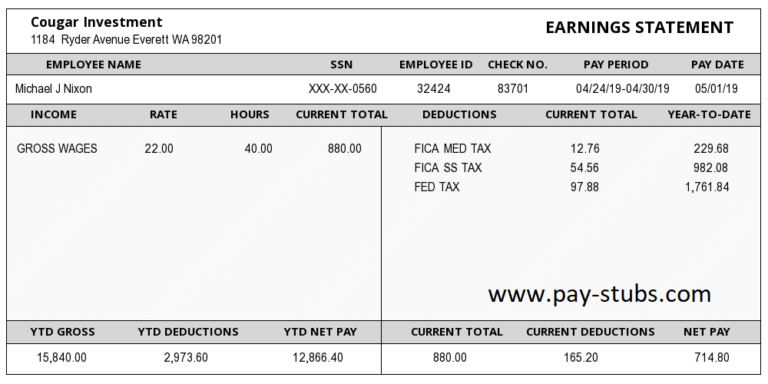 Washington Paystub Generator