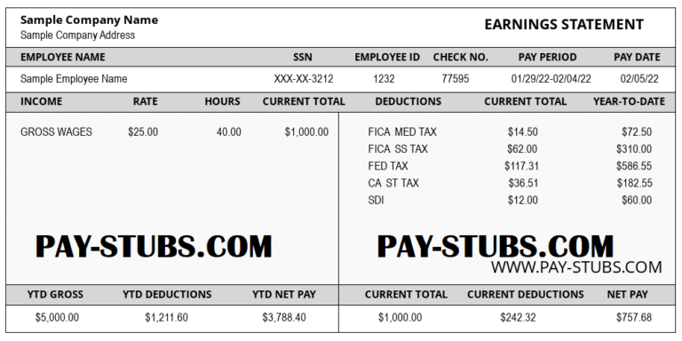 Sample Pay Stubs | Pay Stub Templates | Pay Stub