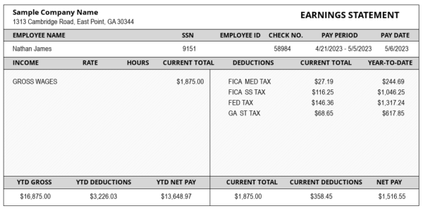 Sample Pay Stubs Template 