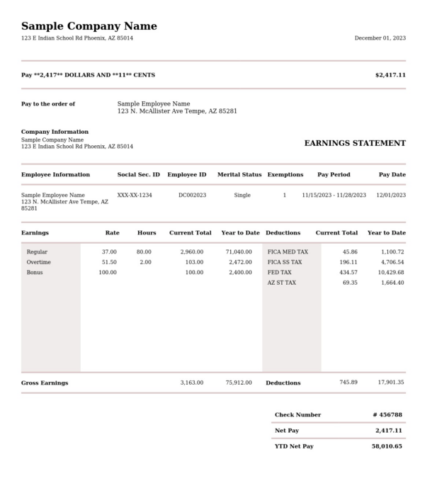 Free Pay Stub Template Generator | Sample Pay Stubs Examples | Generate ...